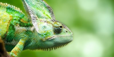 ¿Cambian los procesos al observarlos y medirlos?