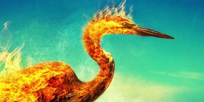 Talento junior vs talento senior