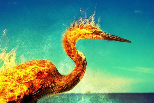 Talento junior vs talento senior