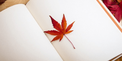 la importancia de simplificar