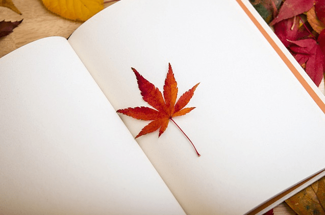 la importancia de simplificar