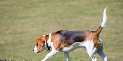 Cómo acercarte a la excelencia profesional