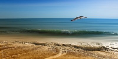 disfruta teletrabajando