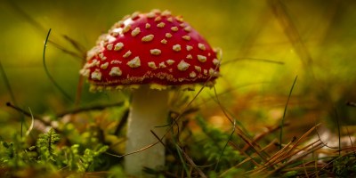 Como compañeros, tampoco es que seamos unos Santos precisamente