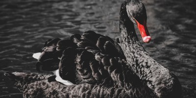 ¿Qué ocurre si trabajas por decisión propia en un proyecto que no produce resultados inmediatos ni sistemáticos?